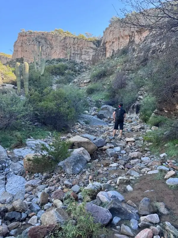 Travis hiking rocky desert wash beneath cactus-lined cliffs
